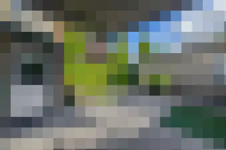 Willem-Alexanderlaan 56 Zevenbergen thumbnail 37