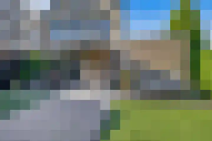 Willem-Alexanderlaan 56 Zevenbergen thumbnail 4