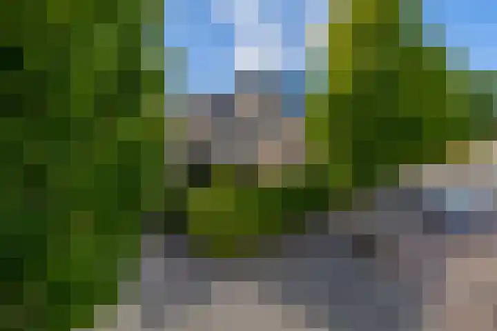 Willem-Alexanderlaan 56 Zevenbergen thumbnail 43