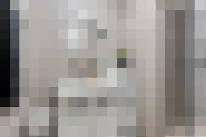 Willem Alexanderlaan 62 Ruurlo thumbnail 12