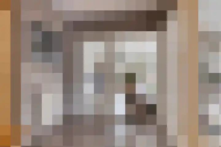 Willem Alexanderlaan 62 Ruurlo thumbnail 15