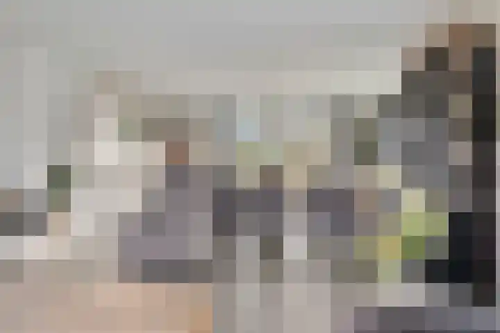 Willem Alexanderlaan 62 Ruurlo thumbnail 19