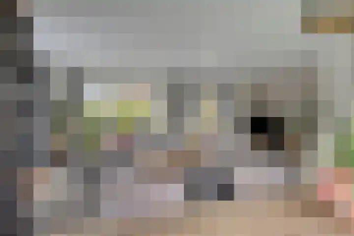 Willem Alexanderlaan 62 Ruurlo thumbnail 21