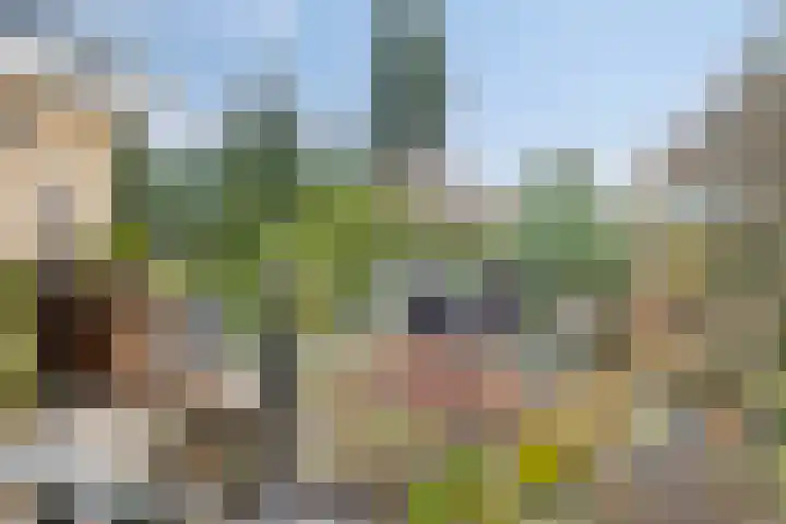 Willem Alexanderlaan 62 Ruurlo thumbnail 22