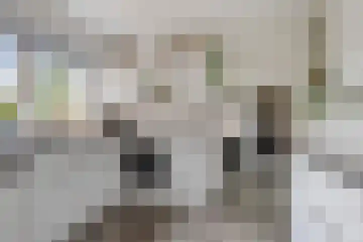 Willem Alexanderlaan 62 Ruurlo thumbnail 26