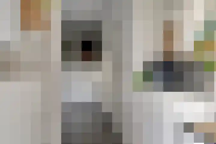 Willem Alexanderlaan 62 Ruurlo thumbnail 30