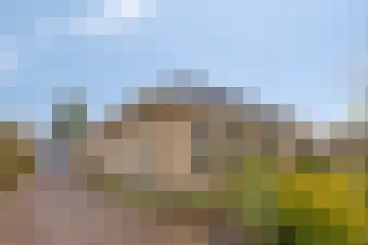Willem Alexanderlaan 62 Ruurlo thumbnail 4