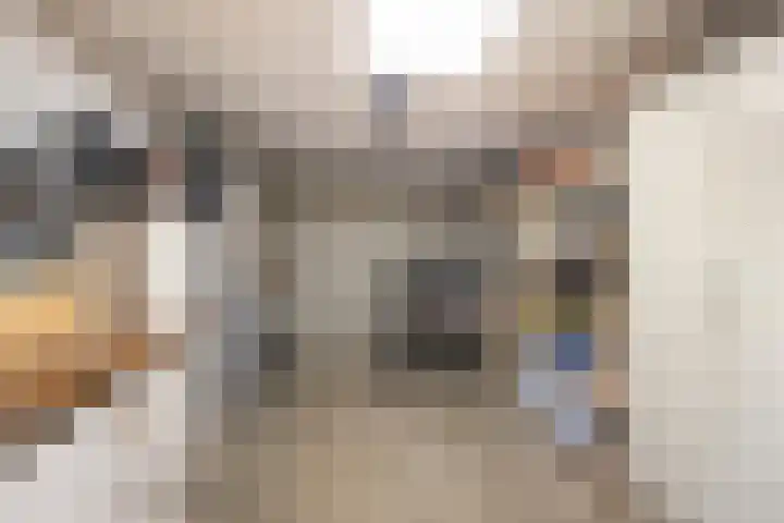 Willem Alexanderlaan 62 Ruurlo thumbnail 42