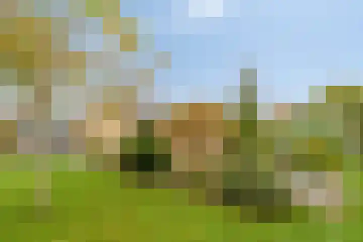 Willem Alexanderlaan 62 Ruurlo thumbnail 44