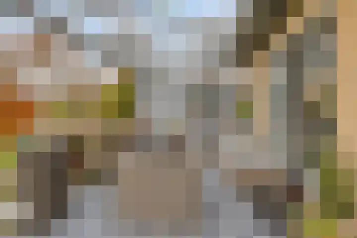 Willem Alexanderlaan 62 Ruurlo thumbnail 47