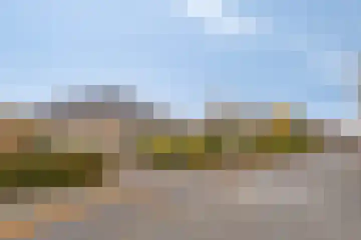 Willem Alexanderlaan 62 Ruurlo thumbnail 52