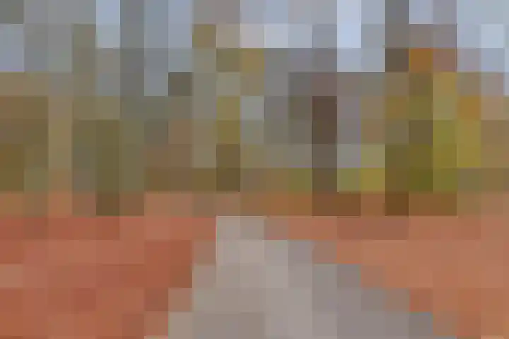 Willem Alexanderlaan 62 Ruurlo thumbnail 53