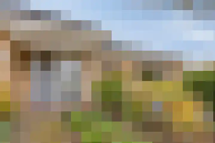 Willem Alexanderlaan 62 Ruurlo thumbnail 6