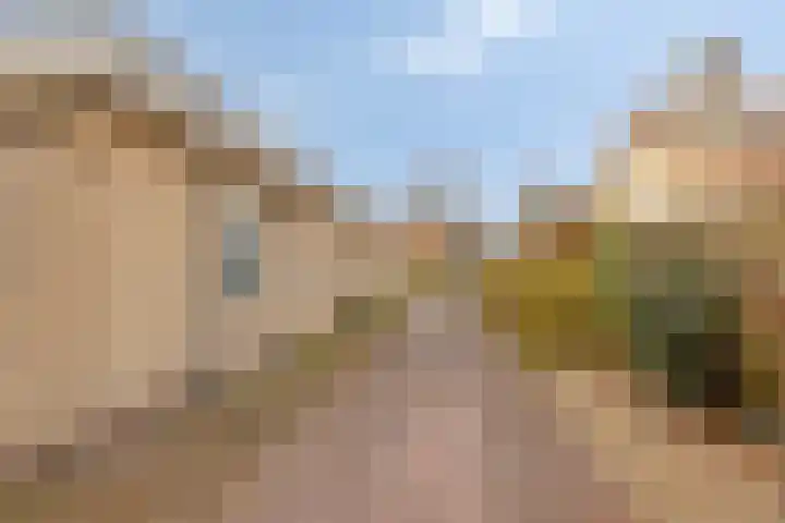 Willem Alexanderlaan 62 Ruurlo thumbnail 7