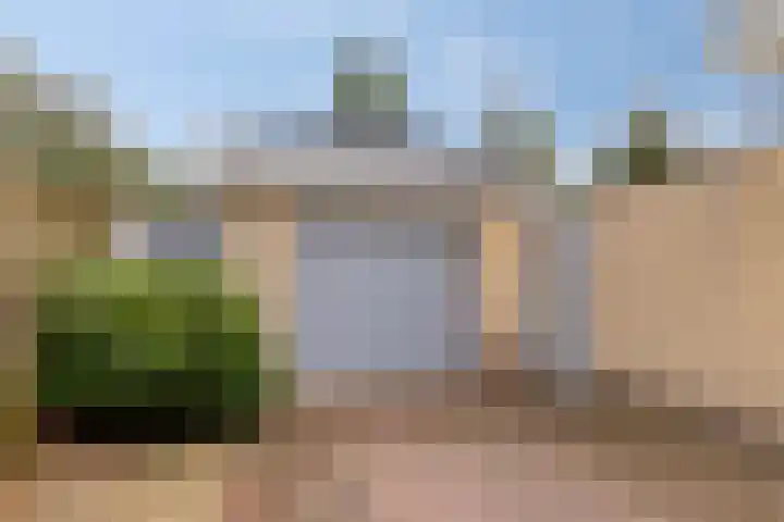 Willem Alexanderlaan 62 Ruurlo thumbnail 8