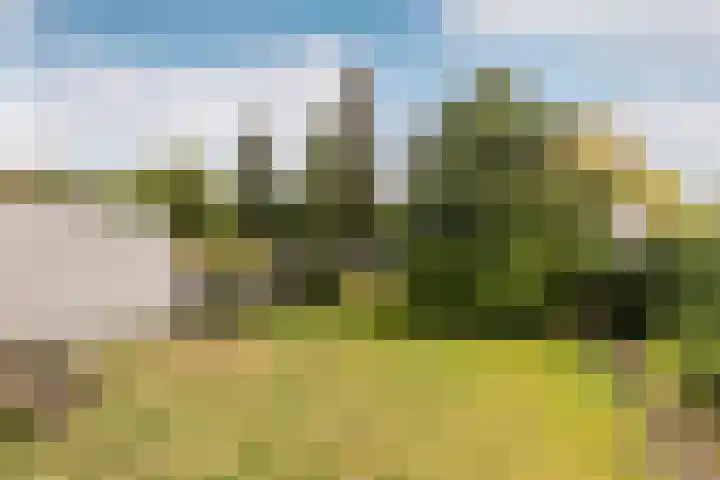 Willem-Alexanderlaan 7 Vught thumbnail 25