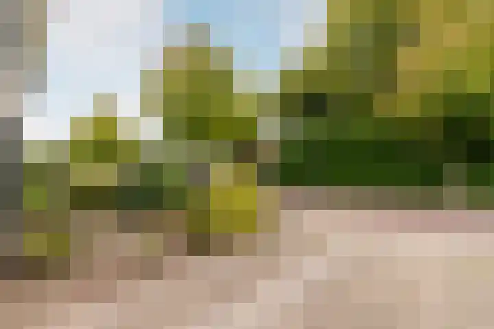 Willem-Alexanderlaan 7 Vught thumbnail 30