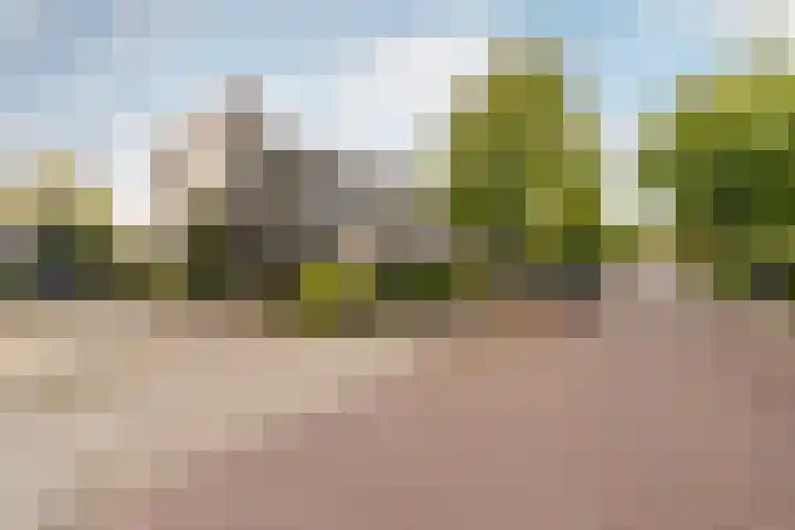 Willem-Alexanderlaan 7 Vught thumbnail 31