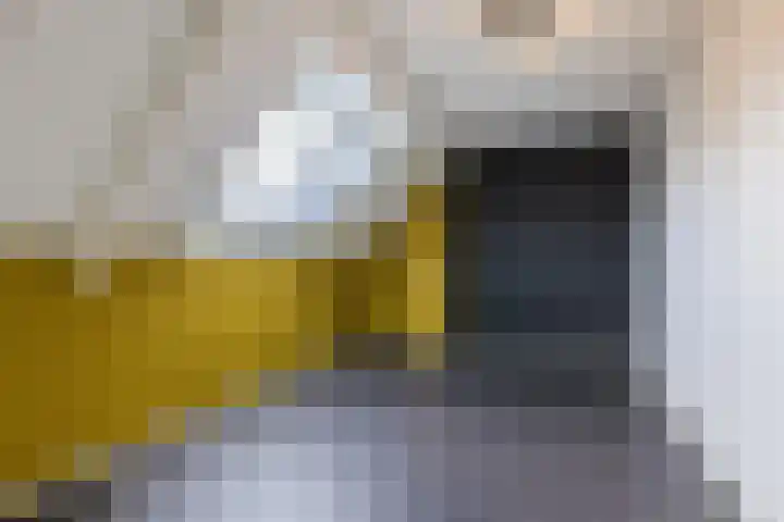 Willem Alexanderlaan 71 Ruurlo thumbnail 22