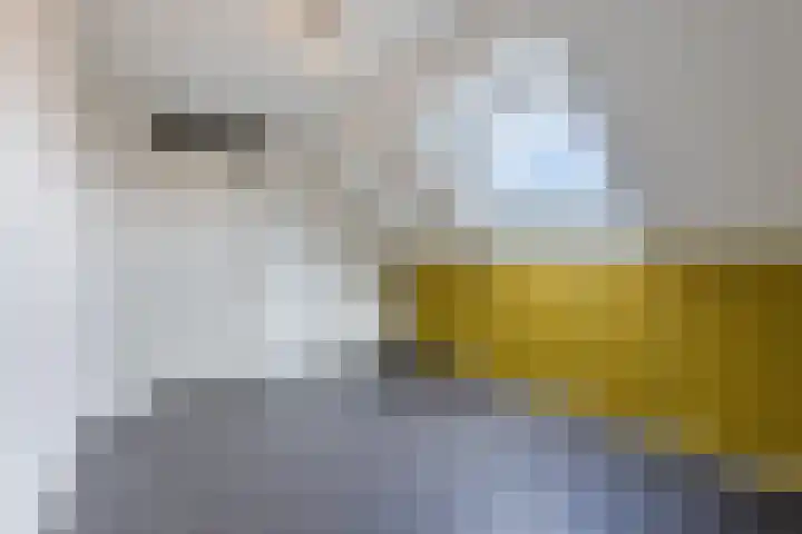 Willem Alexanderlaan 71 Ruurlo thumbnail 23