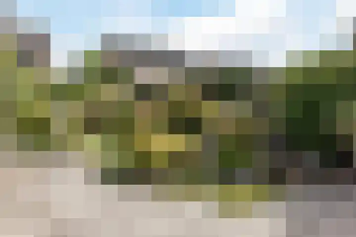 Willem Alexanderlaan 71 Ruurlo thumbnail 24