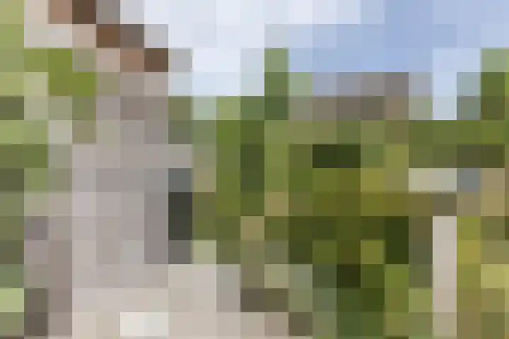 Willem Alexanderlaan 71 Ruurlo thumbnail 27