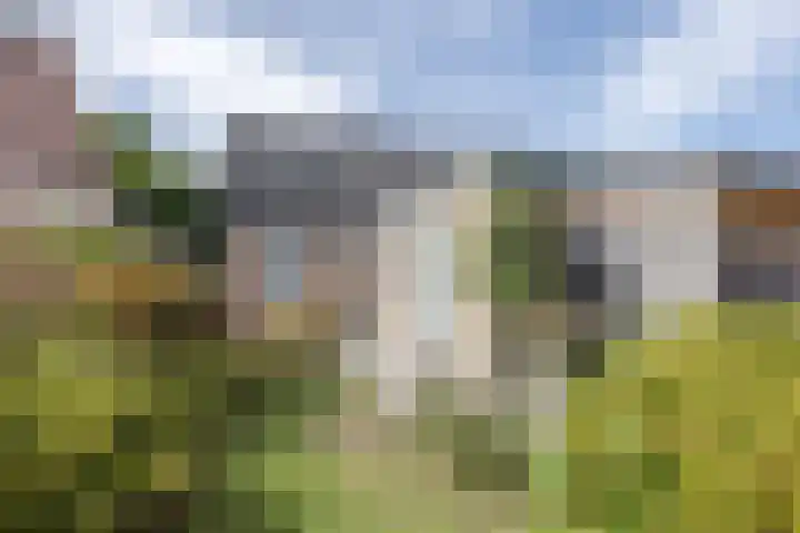 Willem Alexanderlaan 71 Ruurlo thumbnail 31