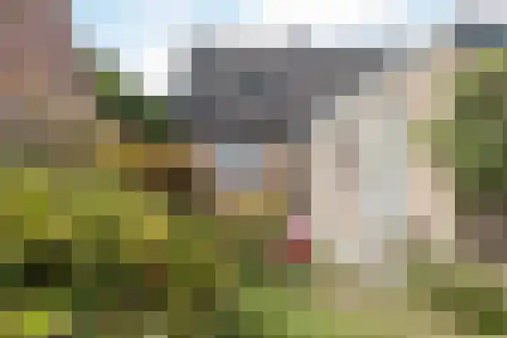 Willem Alexanderlaan 71 Ruurlo thumbnail 32