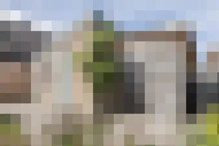 Willem Alexanderlaan 71 Ruurlo thumbnail 33