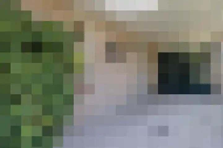 Willem Alexanderlaan 75 Ruurlo thumbnail 12