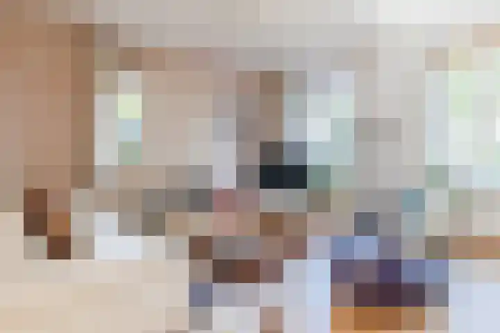Willem Alexanderlaan 75 Ruurlo thumbnail 15