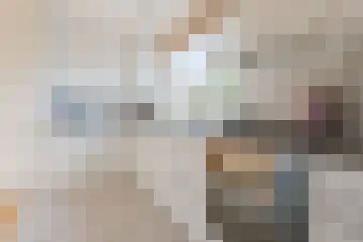 Willem Alexanderlaan 75 Ruurlo thumbnail 17