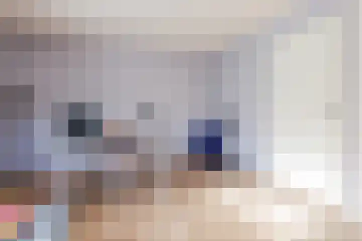 Willem Alexanderlaan 75 Ruurlo thumbnail 18