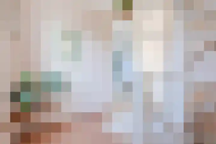 Willem Alexanderlaan 75 Ruurlo thumbnail 25