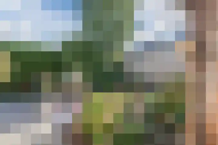 Willem Alexanderlaan 75 Ruurlo thumbnail 35