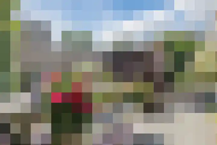 Willem Alexanderlaan 75 Ruurlo thumbnail 36