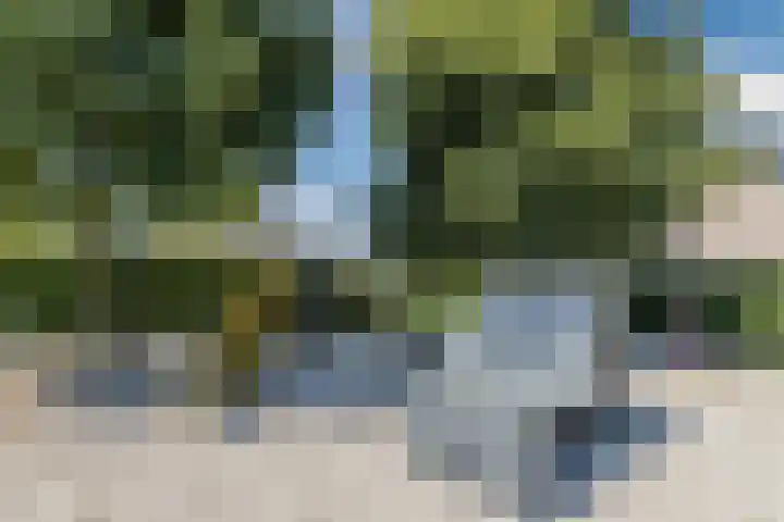 Willem Alexanderlaan 75 Ruurlo thumbnail 39