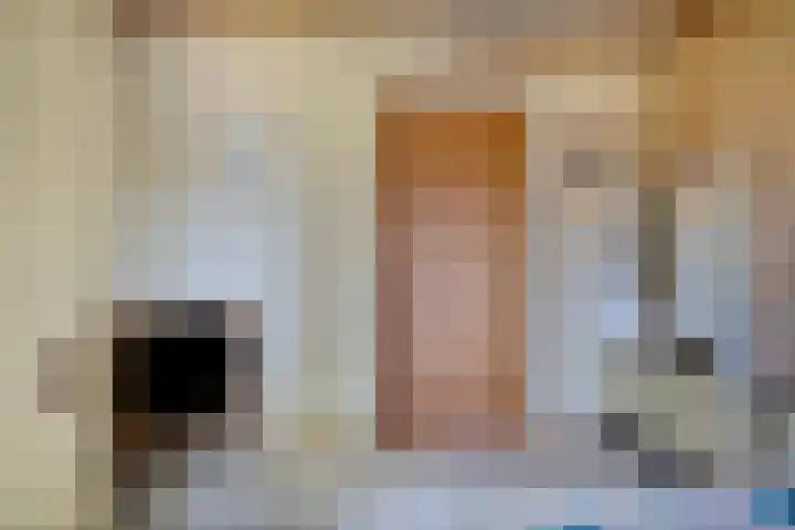 Willem Alexanderlaan 76 Ruurlo thumbnail 13