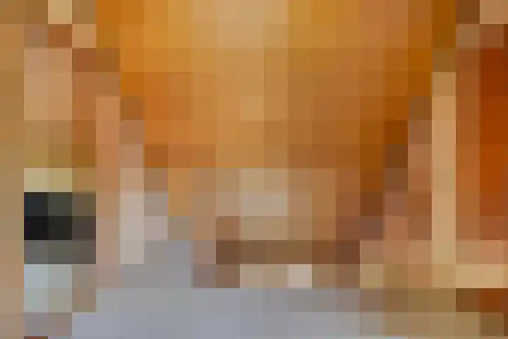 Willem Alexanderlaan 76 Ruurlo thumbnail 16