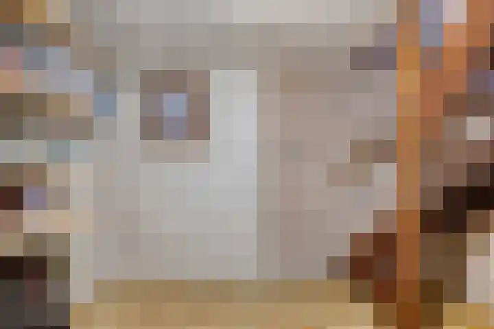 Willem Alexanderlaan 76 Ruurlo thumbnail 25