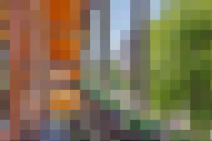 Willem Alexanderlaan 76 Ruurlo thumbnail 26