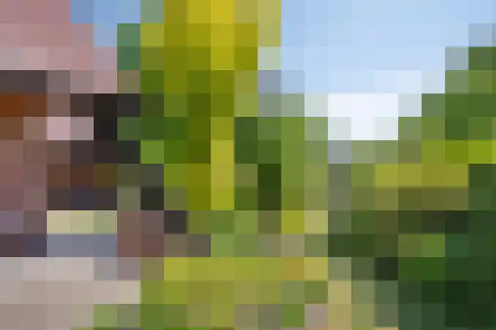 Willem Alexanderlaan 76 Ruurlo thumbnail 27