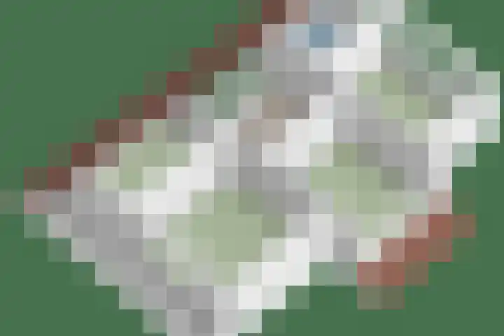 Willem Alexanderlaan 76 Ruurlo thumbnail 41