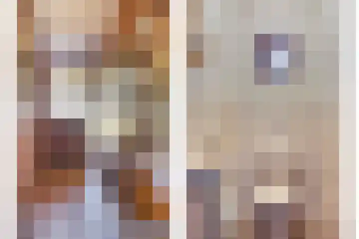 Willem Alexanderlaan 76 Ruurlo thumbnail 5