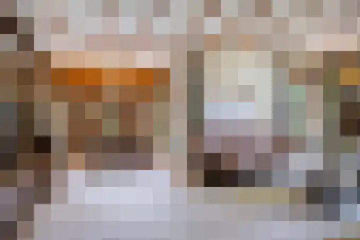 Willem Alexanderlaan 76 Ruurlo thumbnail 6