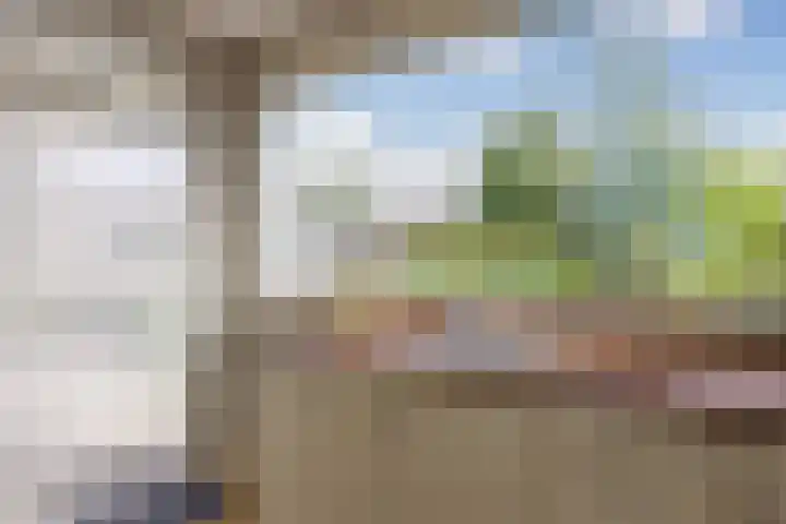 Willem-Alexanderpark 25 Best thumbnail 10