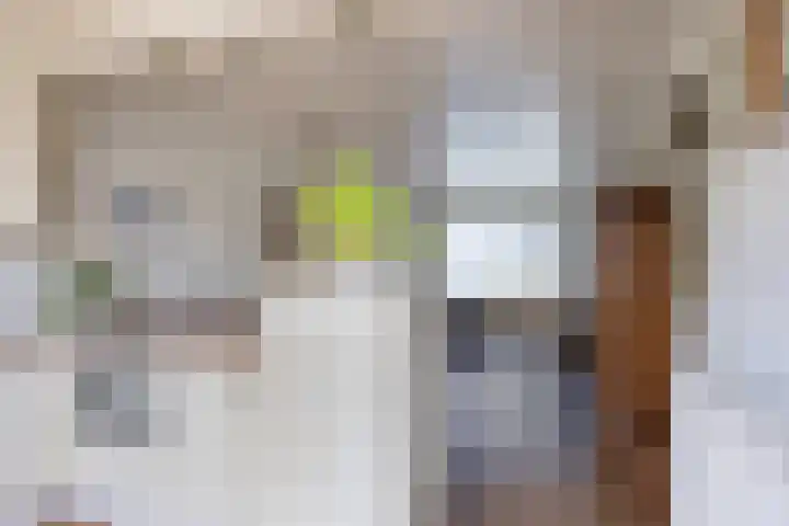 Willem-Alexanderpark 25 Best thumbnail 11