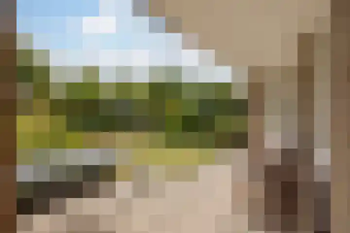 Willem-Alexanderpark 25 Best thumbnail 28