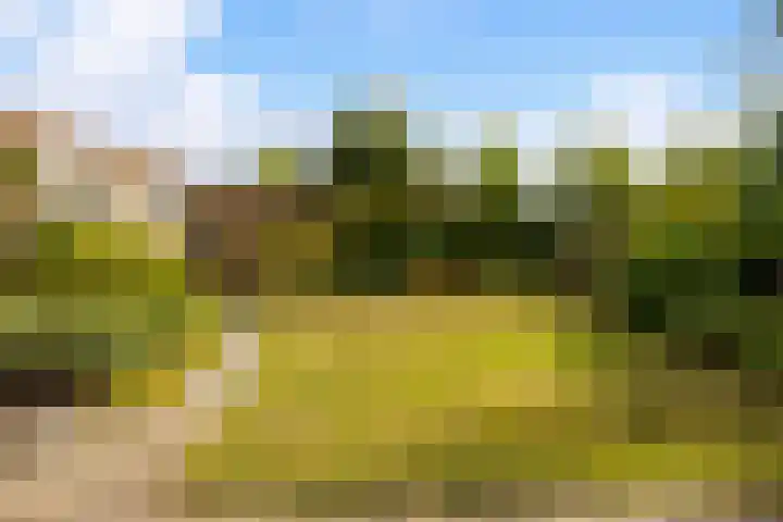 Willem-Alexanderpark 25 Best thumbnail 29