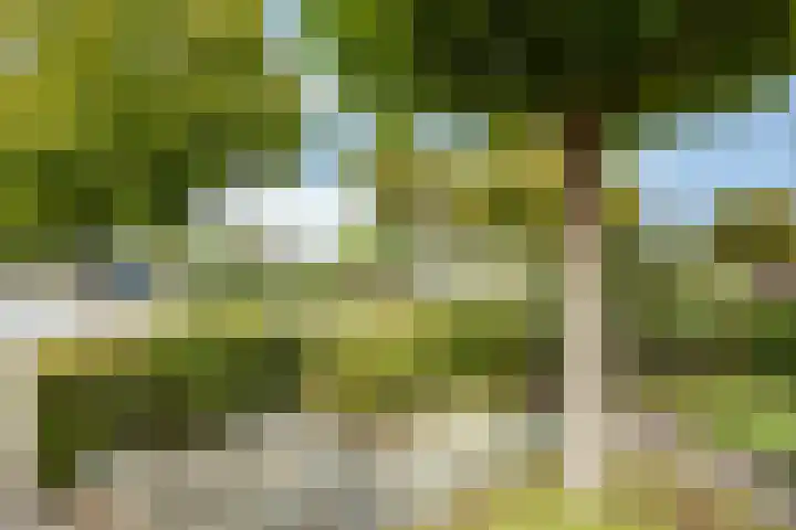 Willem-Alexanderpark 25 Best thumbnail 31